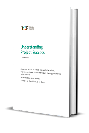 Understanding Project Success 3d cover