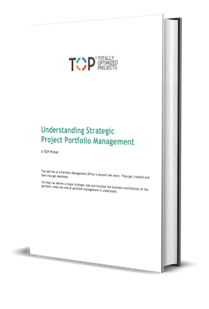 Understanding Strategic Portfolio Management 3d cover